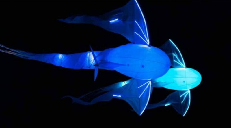 À Liège, la Nocturne des Coteaux se déroulera désormais au printemps.