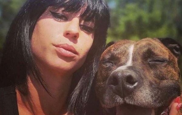 Affaire Elisa Pilarski : Le chien Curtis, « scellé animal », au centre du procès mardi