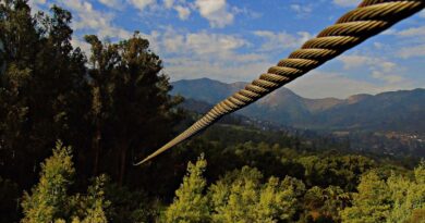 Angleterre : Une malade partait au Mexique tout en ne sortant pas.