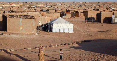Appel à Genève pour des mesures concrètes sur les droits de l'Homme à Tindouf