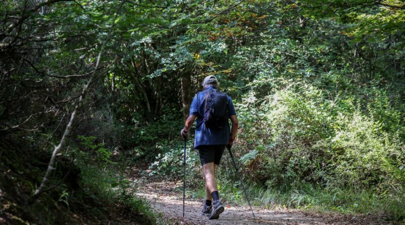 Argentine : Décès d'un touriste français de 35 ans en randonnée