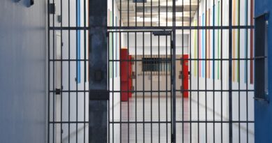 Avocat lyonnais en garde à vue depuis lundi pour aide à la DZ Mafia.