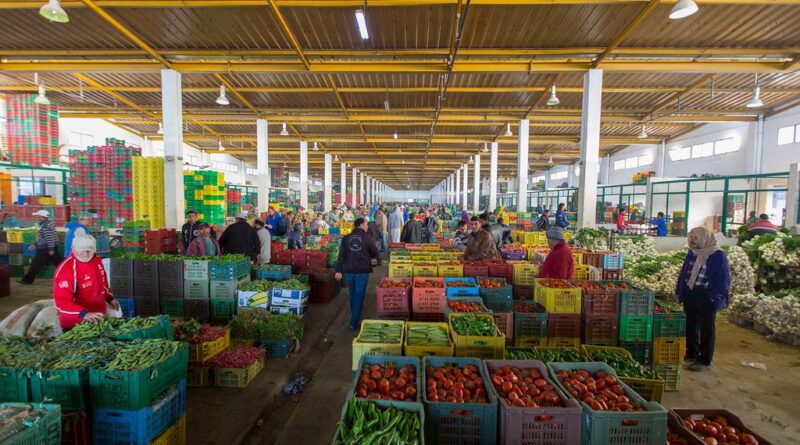 Bir El Kassaa : les grossistes alertent sur un marché en danger