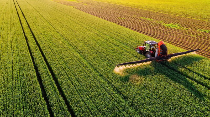 Campagne céréalière : 991 000 hectares ensemencés en Tunisie