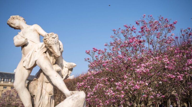 C'est le printemps : quelles tendances météo pour les jours à venir ?
