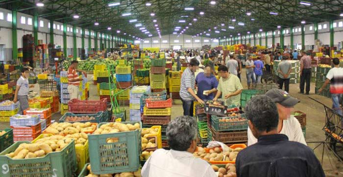 Commerce de gros : Ventes légèrement en hausse attendues au T1 2026