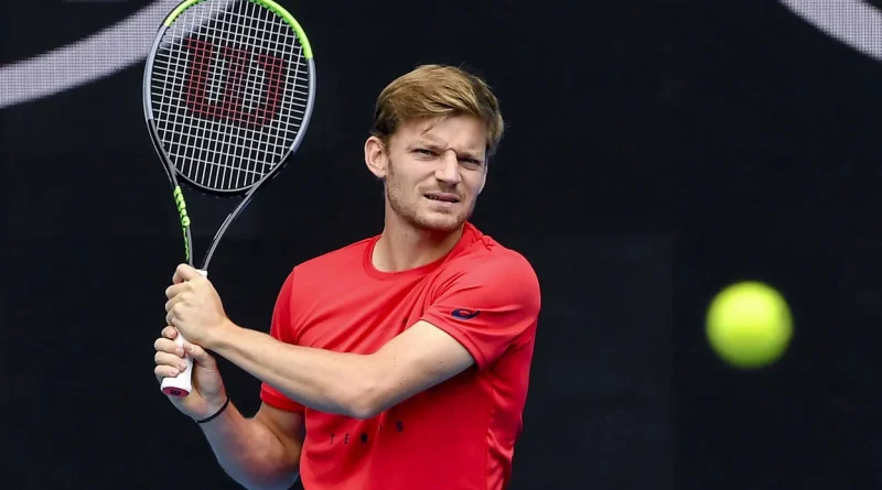 David Goffin quitte le tennis à la fin de la saison : "C’est le bon moment"