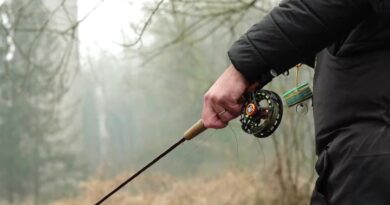 Début de la saison de pêche à la truite : règles à respecter.