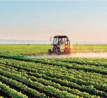 Des conditions climatiques exceptionnelles ne promettent pas une campagne agricole améliorée.