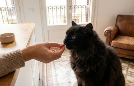 Dix phénomènes météo extraordinaires : tornade de feu, orage vert, jet bleu.