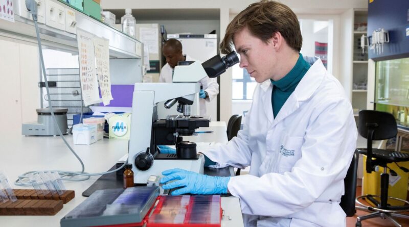 En 10 ans, le paludisme a doublé chez les voyageurs.