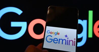 Etats-Unis : La famille d'un homme se suicidant attaque Google pour l'IA Gemini