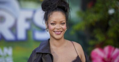 Etats-Unis : Tir sur la maison de Rihanna à Los Angeles, elle était présente