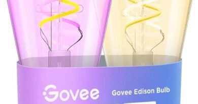 Govee lance ses ampoules Edison, défi pour Philips Hue