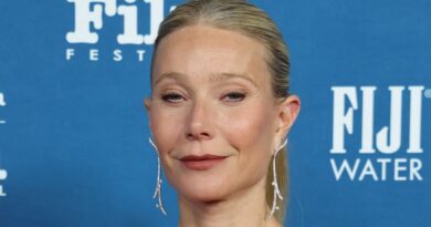 Gwyneth Paltrow ne revient pas au cinéma pour adapter un best-seller américain.