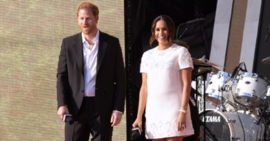 Harry et Meghan de retour sur Netflix avec une série sur le polo