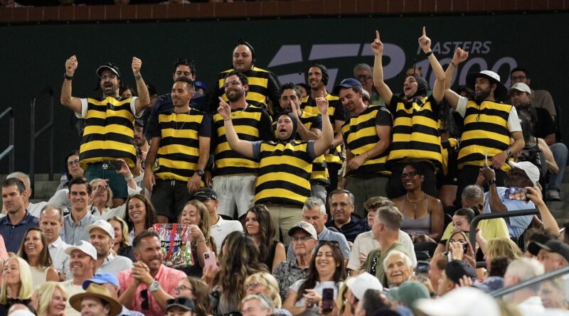 Indian Wells : Carlos Alcaraz s'est déguisé en abeille après sa qualification.