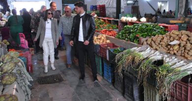 Inspection des zones de Sijoumi, Mellassine et du Djallez à Tunis