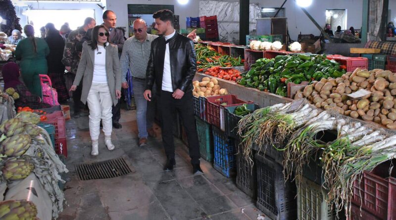 Inspection des zones de Sijoumi, Mellassine et du Djallez à Tunis