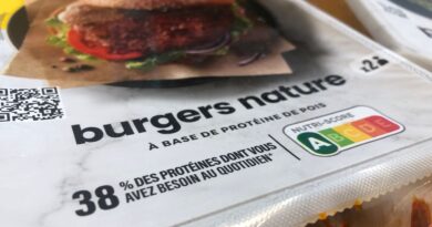Interdiction européenne du terme « steak végétal », sauf pour saucisses et burgers.