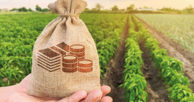 Investissements agricoles : projets en hausse de 15 % d'ici 2025