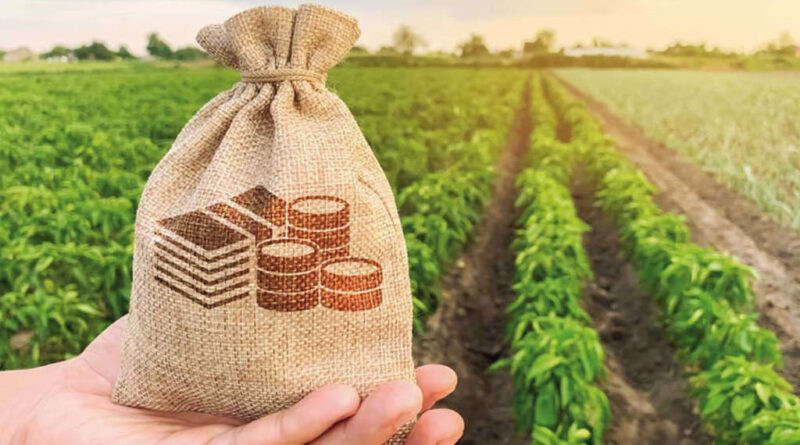 Investissements agricoles : projets en hausse de 15 % d'ici 2025