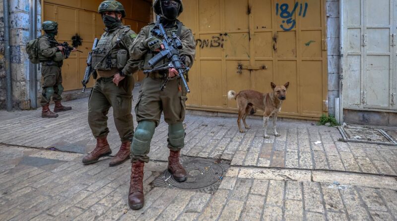 Israël : L’armée ne maintient pas l’inculpation de cinq soldats pour sévices.