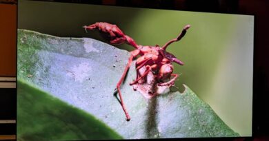 Le Nothing Projector ALR Longue focale optimise votre vidéoprojecteur, test inclus.