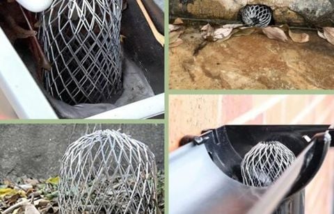 Loft Story : l'émission qui a le plus divisé les Français.