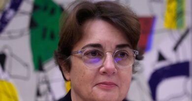 Louvre : La commission d'enquête n'a pas entendu l'ex-présidente du musée