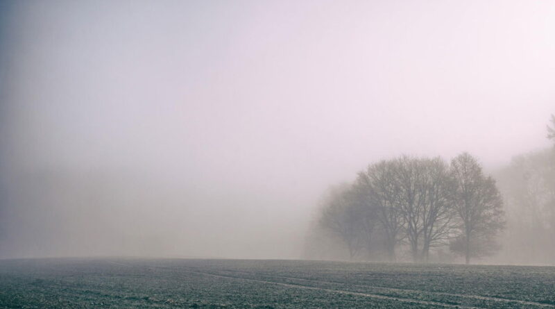 Météo : Brouillard local prévu dimanche soir et lundi matin