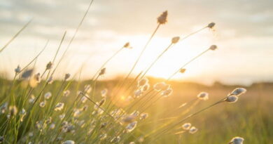 Météo : Températures maximales prévues entre 17 et 26 degrés