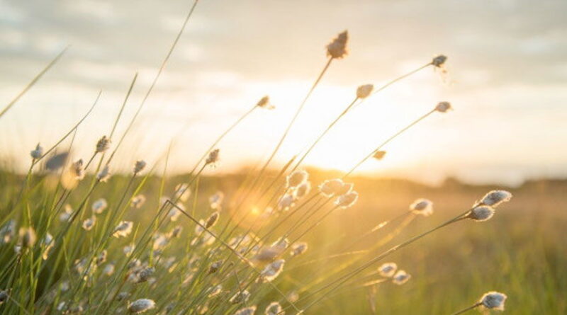 Météo : Températures maximales prévues entre 17 et 26 degrés