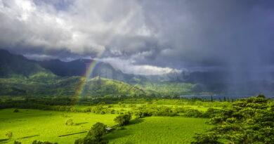 Météo : vents forts et baisse des températures ce vendredi