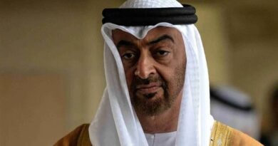 Mohamed bin Zayed : « Les Émirats arabes unis ne sont pas une proie facile »