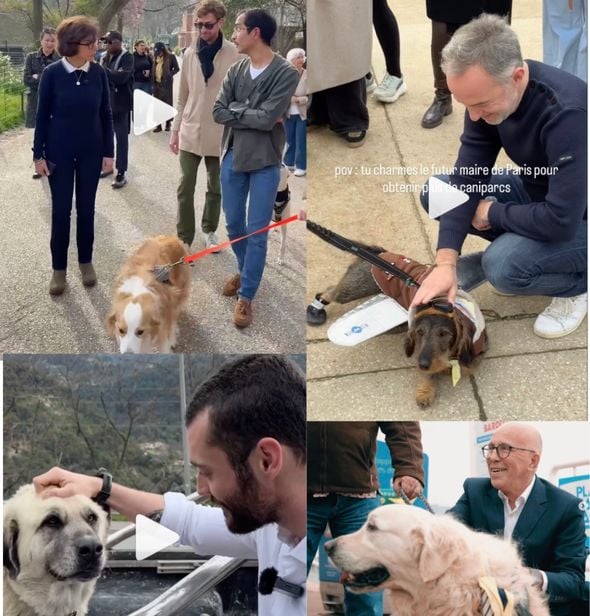 Rachida Dati et Emmanuel Grégoire à Paris, Louis Sarkozy à Menton, Eric Ciotti à Nice... Tous les candidats tentent de récupérer un poil de sympathie auprès des animaux de compagnie.