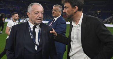 Municipales à Lyon : Des assos écolos ne respectent-elles pas l'argent public contre J.-M. Aulas ?