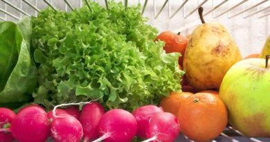 OMS : Bien conserver les légumes préserve leur valeur nutritionnelle