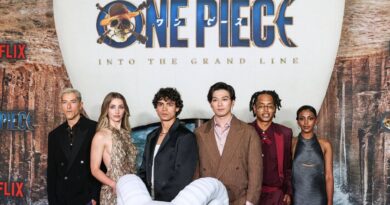 « One Piece », saison 2 : Pourquoi Chopper est devenu culte.