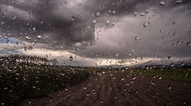 Pluies éparses demain soir sur les côtes est.