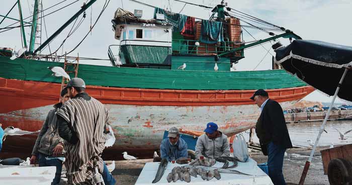 Port de Mehdia : Débarquements de pêche en baisse de 27% en janvier