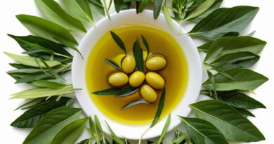 Production d'olives bio : la Tunisie est la première mondiale
