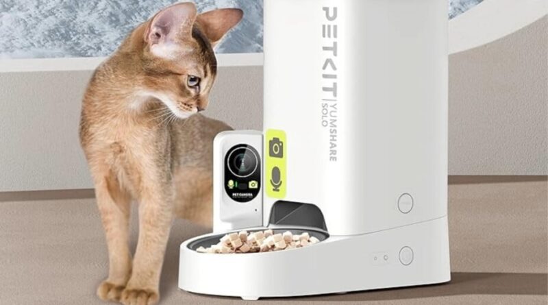 Promotion sur un distributeur automatique de croquettes avec IA, baisse de 38 %