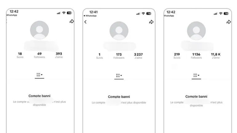 TikTok a suspendu trois comptes actifs depuis plusieurs mois
