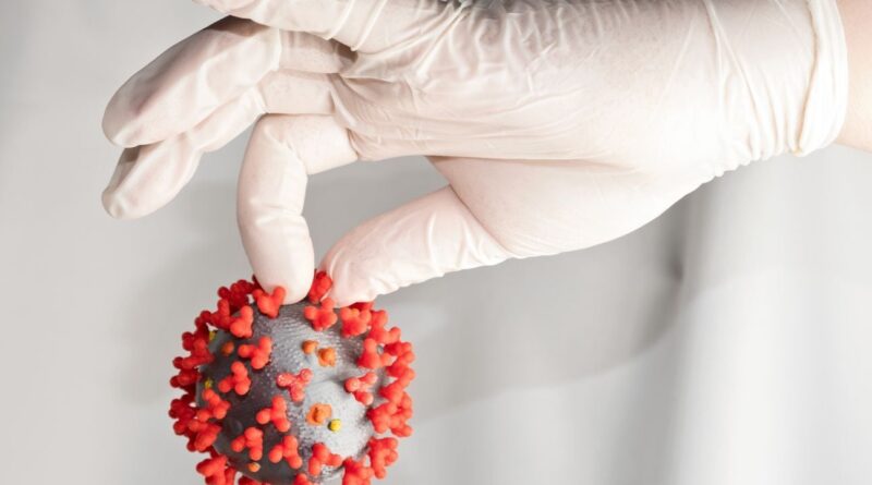 Qu'est-ce que l'immunité grégaire ?