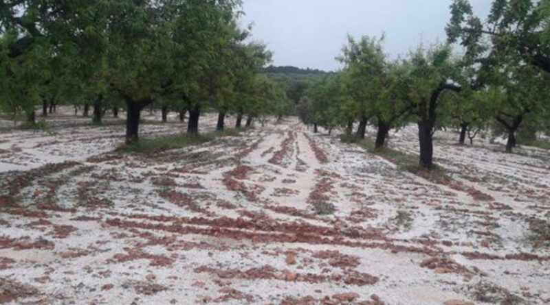 Retour du froid : prévisions de pluie, grêle et neige possibles