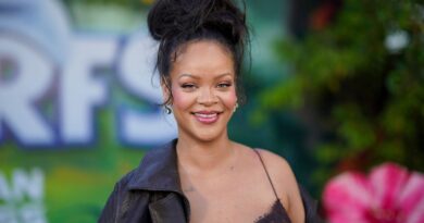 Rihanna à la gare d’Épinal : concert surprise et tourisme local.