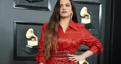 Rosalía interrompt son concert à Milan à cause d'un problème de santé.