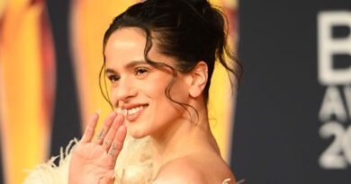 Rosalía réagit après l'interruption de son concert pour santé.