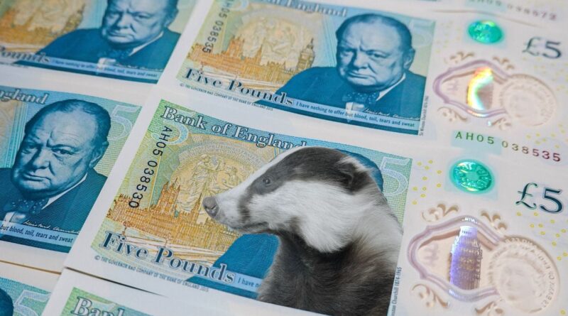 Royaume-Uni : Remplacer Churchill par un blaireau sur les billets ?